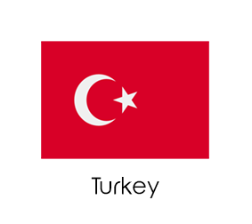 وی پی اس ترکیه